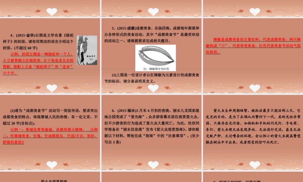 中考语文 第二篇 语文知识积累与运用 专题五 语文知识运用 读图识表与文字拟写(一)练习课件