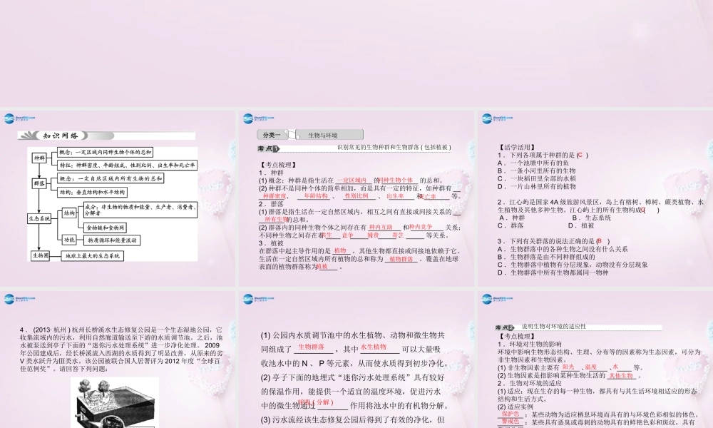 中考科学总复习 第3讲 生态系统课件 浙教版 课件