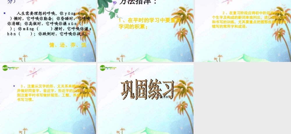 中考语文复习 字词专题课件