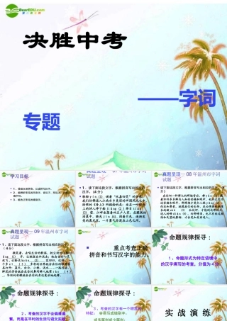 中考语文复习 字词专题课件