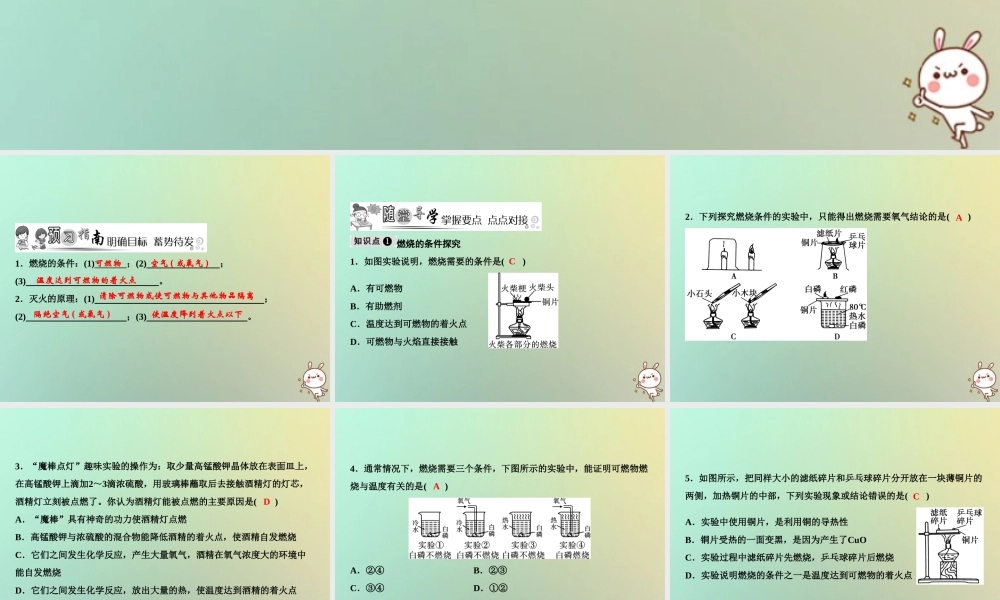 九年级化学上册 第7单元 燃料及其利用 实验活动3 燃烧的条件作业课件 (新版)新人教版 课件