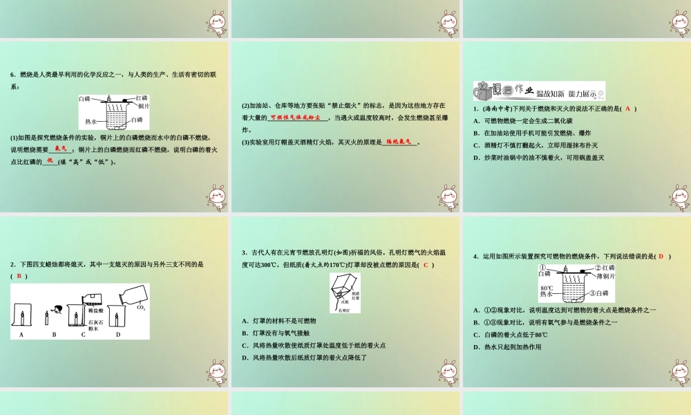 九年级化学上册 第7单元 燃料及其利用 实验活动3 燃烧的条件作业课件 (新版)新人教版 课件