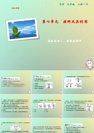 九年级化学上册 第7单元 燃料及其利用 实验活动3 燃烧的条件作业课件 (新版)新人教版 课件