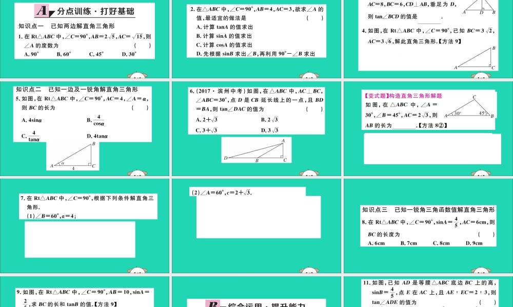 (湖北专用)九年级数学下册 第28章 锐角三角函数 28.2 解直角三角形及其应用 28.2.1 解直角三角形习题讲评课件 (新版)新人教版 课件
