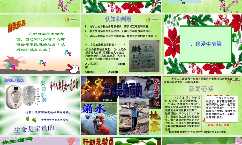 七年级政治下册 第五单元第一课生命宝贵课件课件 新人教版 课件