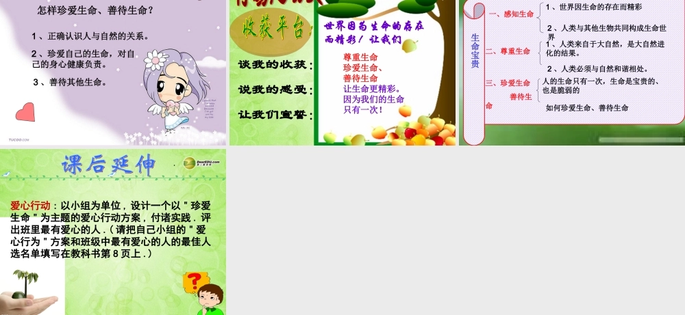 七年级政治下册 第五单元第一课生命宝贵课件课件 新人教版 课件