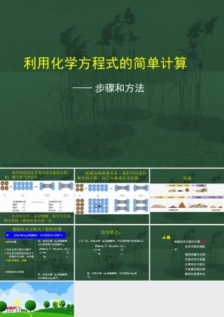 九年级化学利用化学方程式计算的步骤和方法课件 新课标 人教版 课件