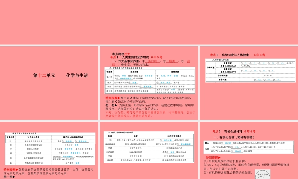 (临沂专版)中考化学总复习 第一部分 系统复习 成绩基石 第十二单元 化学与生活课件 新人教版 课件