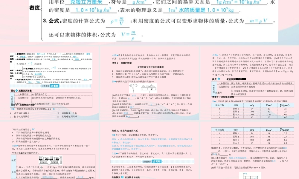 中考物理总复习 八上 第6讲 质量与密度课件
