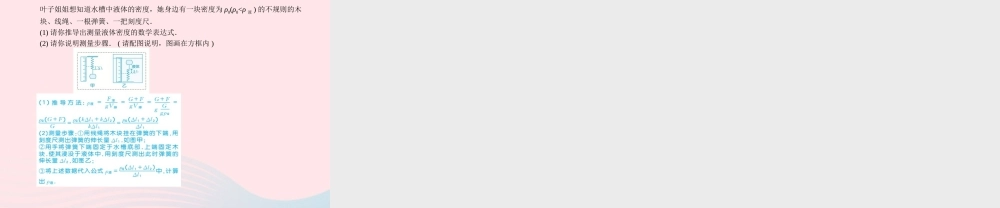 中考物理总复习 八上 第6讲 质量与密度课件