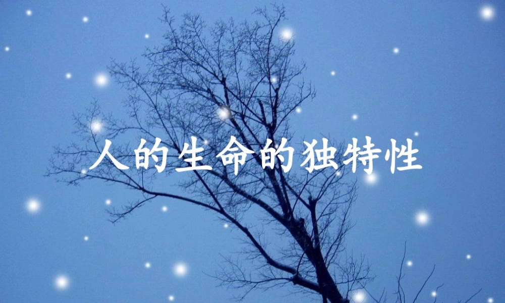 七年级政治上册 人的生命的独特性课件 人教新课标版 课件