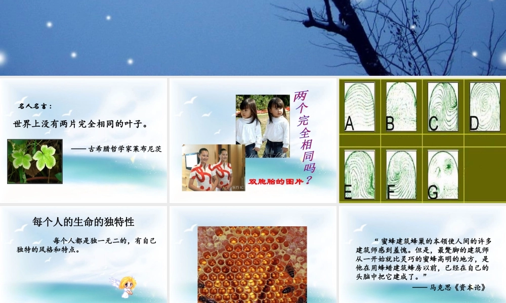 七年级政治上册 人的生命的独特性课件 人教新课标版 课件