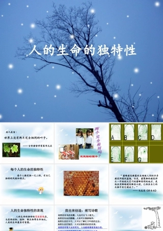 七年级政治上册 人的生命的独特性课件 人教新课标版 课件