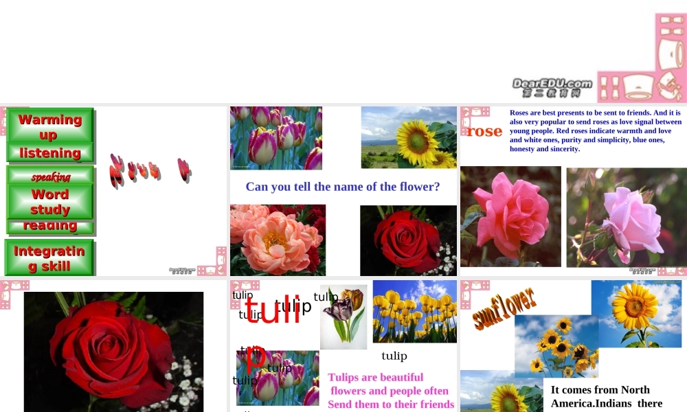 Unit4 Green world 新课标 人教版 课件