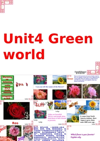 Unit4 Green world 新课标 人教版 课件