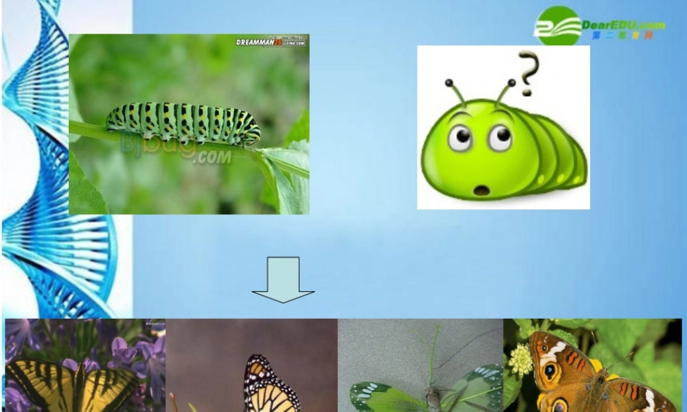 七年级思想品德下册 第十六课(长大的感觉)课件 苏教版 课件