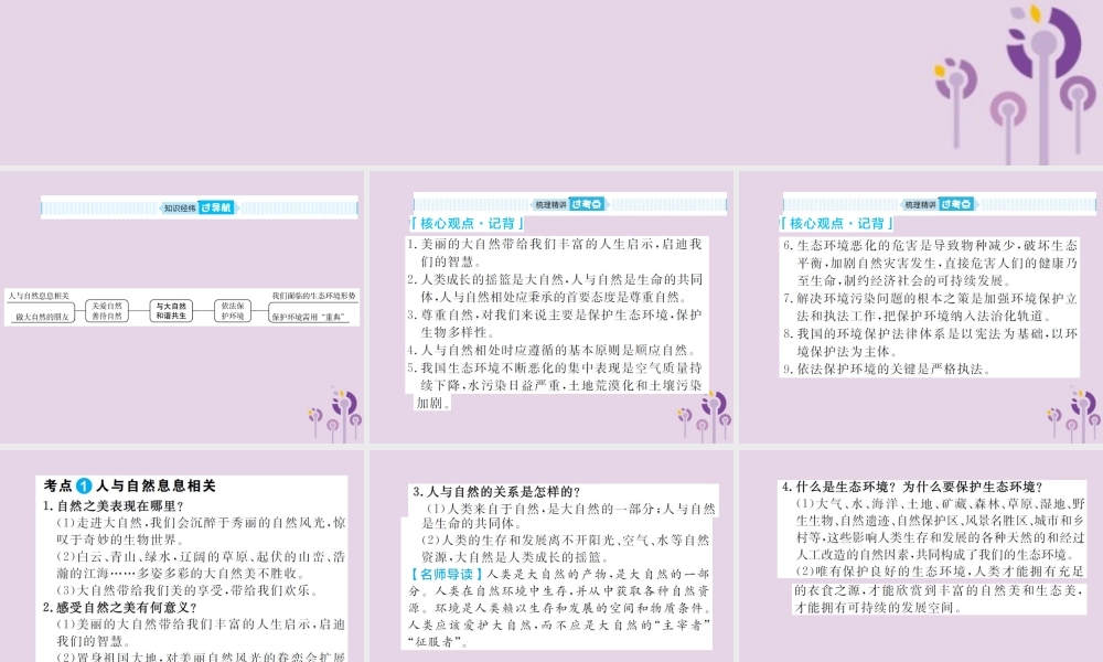 中考道德与法治总复习 九上 第三单元 与大自然和谐共生课件