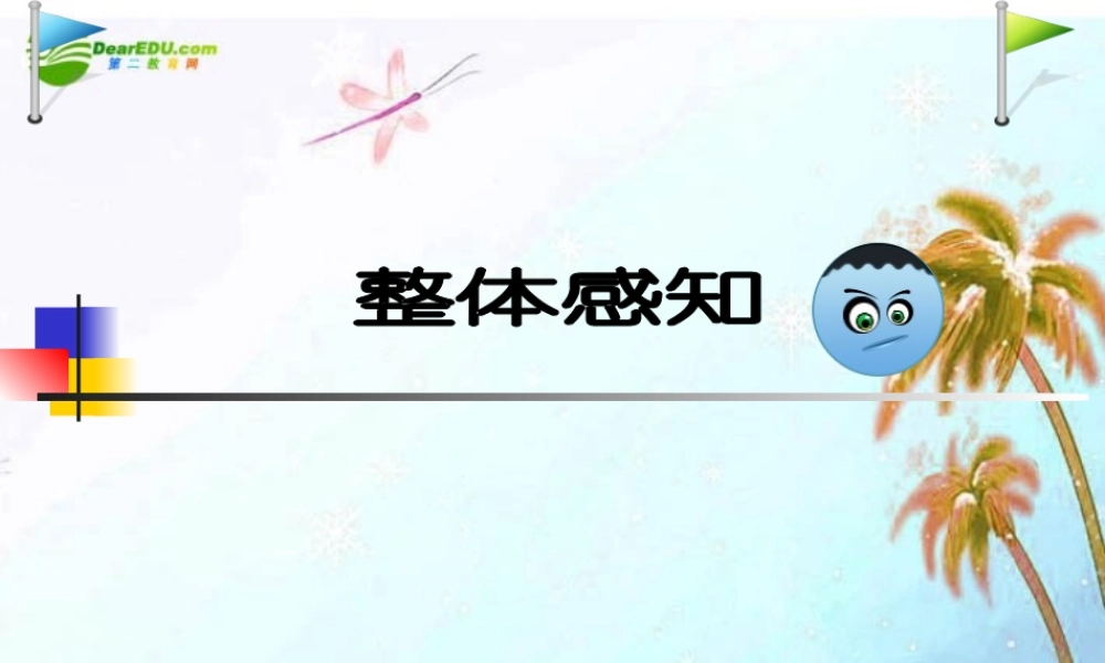 中考语文阅读 现代文整体感知课件