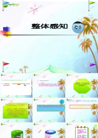 中考语文阅读 现代文整体感知课件