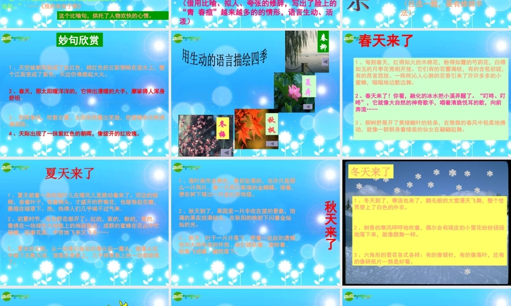 中考语文写作 怎样使作文语言生动起来课件