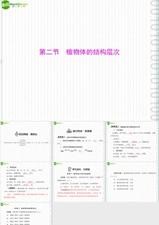 (随堂优化训练)七年级生物上册 第二单元 第三章 第二节 植物体的结构层次配套课件 人教新课标版 课件
