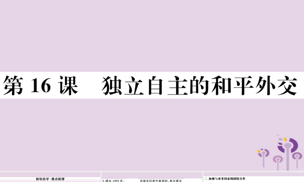 (玉林专版)八年级历史下册 第五单元 国防建设与外交成就 第16课 独立自主的和平外交习题课件 新人教版 课件