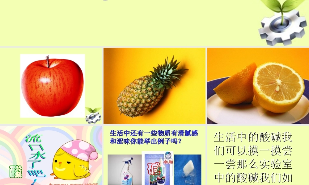 九年级化学(常见的酸和碱)课件