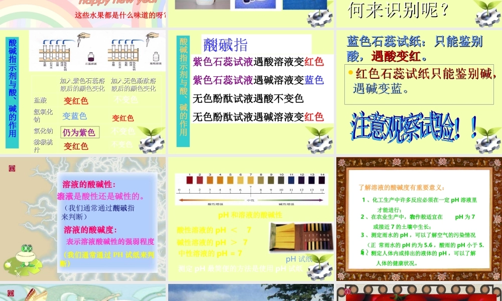 九年级化学(常见的酸和碱)课件