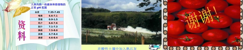 九年级化学(常见的酸和碱)课件