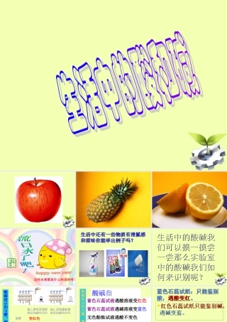 九年级化学(常见的酸和碱)课件