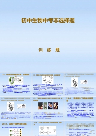 中考生物 非选择题训练课件 人教新课标版 课件