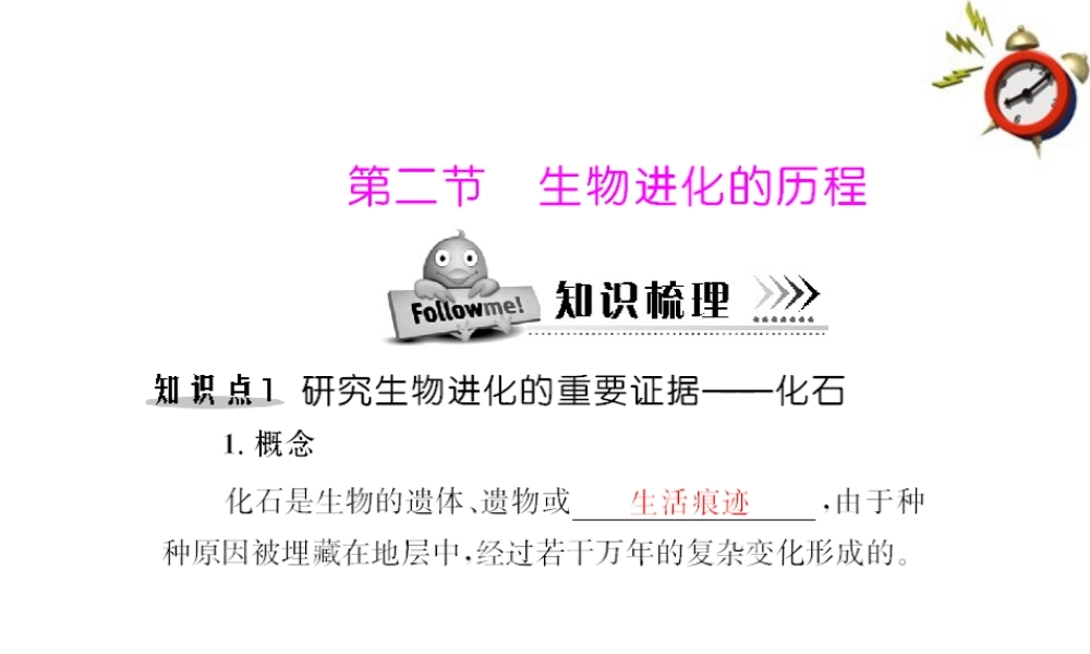 (随堂优化训练)八年级生物下册 第七单元 第三章 第二节 生物进化的历程 配套课件 人教新课标版 课件