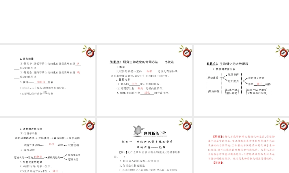 (随堂优化训练)八年级生物下册 第七单元 第三章 第二节 生物进化的历程 配套课件 人教新课标版 课件