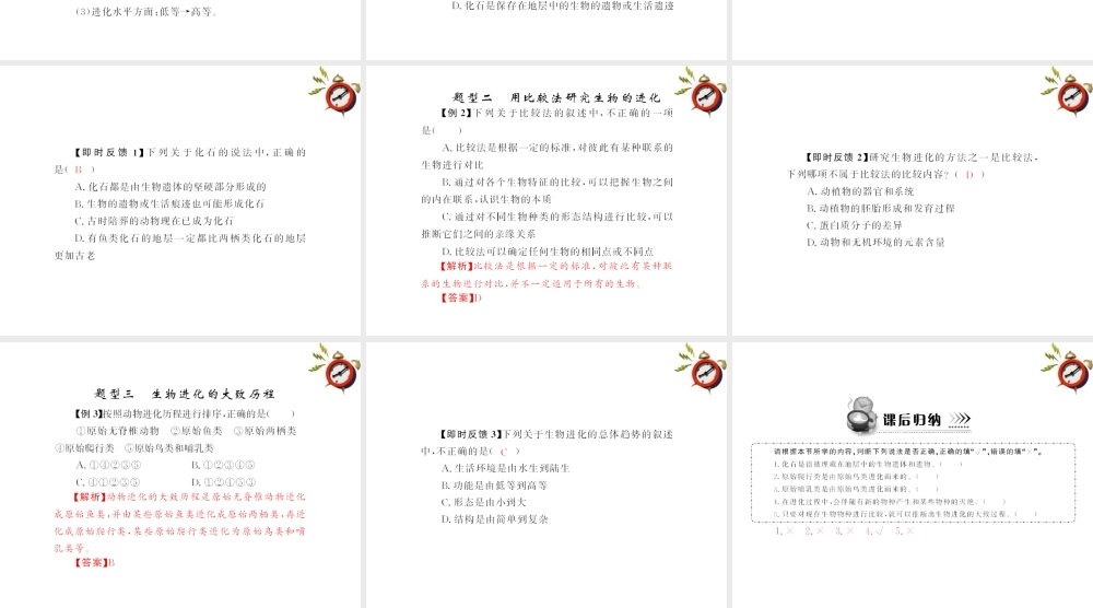 (随堂优化训练)八年级生物下册 第七单元 第三章 第二节 生物进化的历程 配套课件 人教新课标版 课件