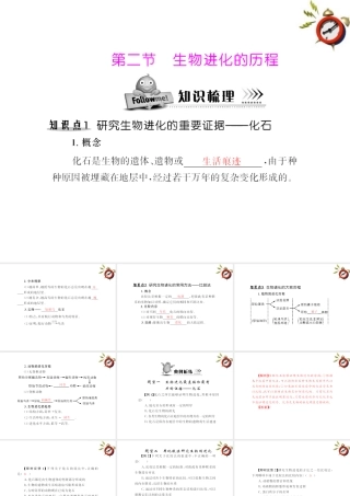 (随堂优化训练)八年级生物下册 第七单元 第三章 第二节 生物进化的历程 配套课件 人教新课标版 课件