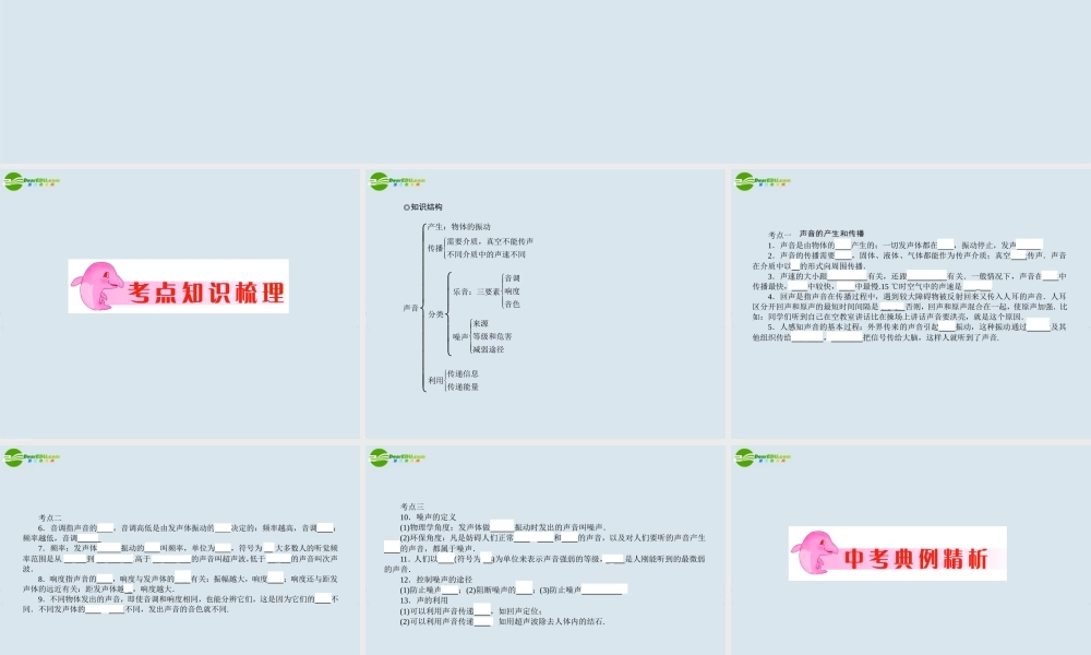 中考物理 专题1 声现象复习课件