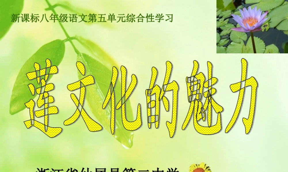 (莲文化的魅力)课件7 八年级语文上册第五单元(综合性学习莲文化的魅力)课件7套人教版 八年级语文上册第五单元(综合性学习莲文化的魅力)课件7套人教版