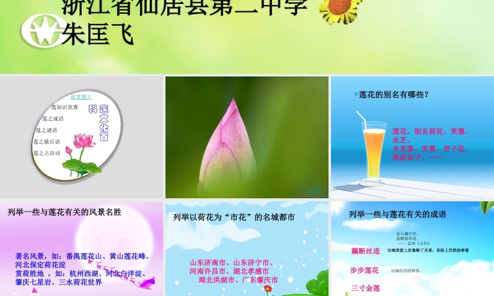 (莲文化的魅力)课件7 八年级语文上册第五单元(综合性学习莲文化的魅力)课件7套人教版 八年级语文上册第五单元(综合性学习莲文化的魅力)课件7套人教版