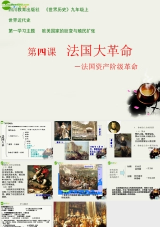 九年级历史上册(法国大革命)课件1 川教版 课件