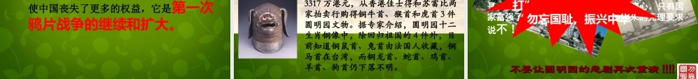 1015年八年级历史上册 第2课 第二次鸦片战争课件 川教版 课件