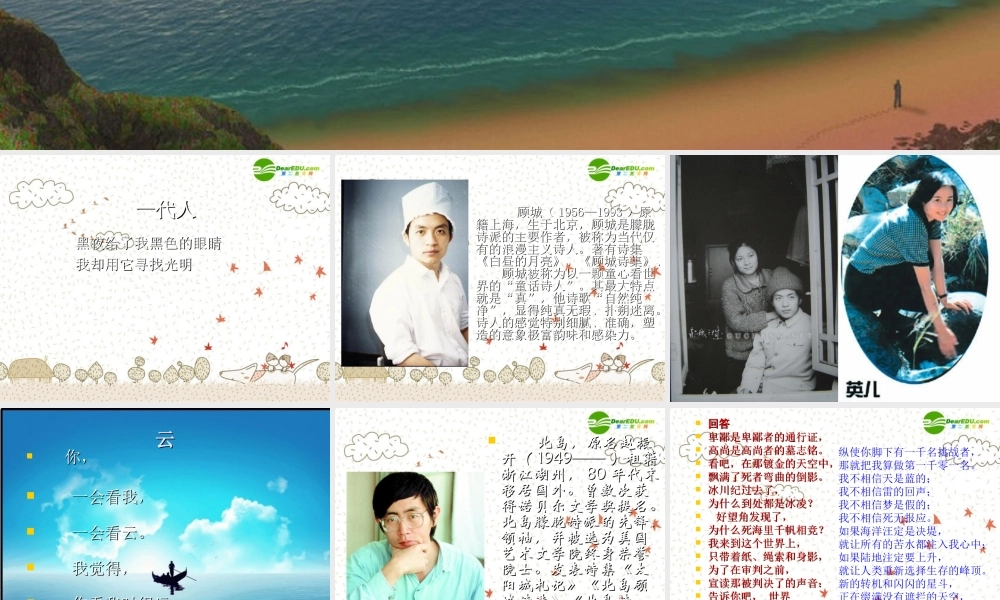 中考语文复习课件 当代诗歌品读 课件