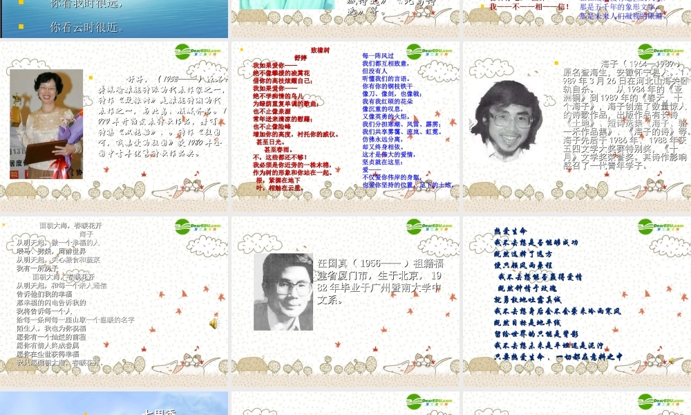 中考语文复习课件 当代诗歌品读 课件