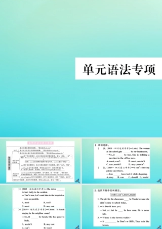 (河南专版)九年级英语全册 Unit 8 It must belong to Carla单元语法专项习题课件 (新版)人教新目标版 课件