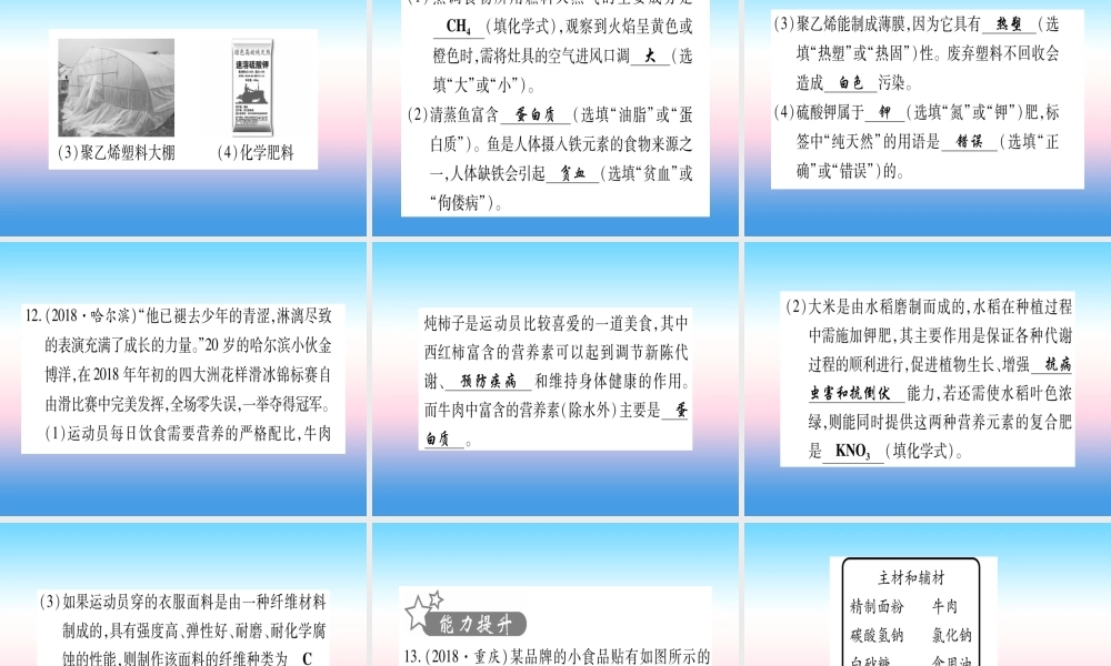 (云南专用)中考化学总复习 第1部分 教材系统复习 九下 第12单元 化学与生活(精练)课件