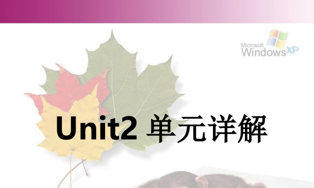 Unit2单元详解课件示例 人教版 课件