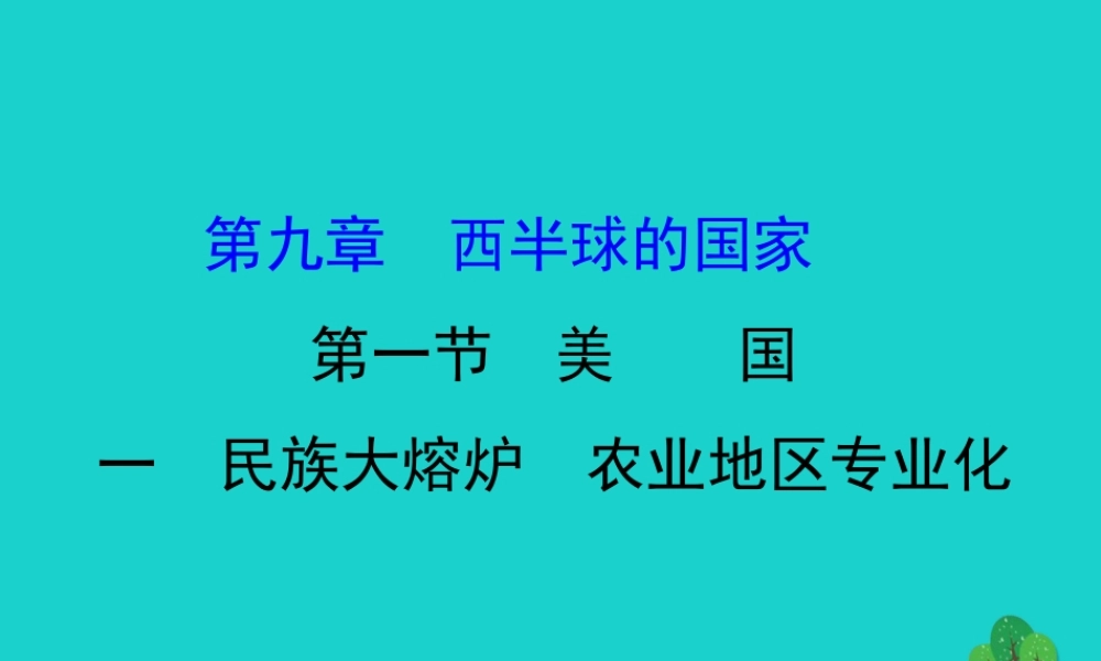 七年级地理下册 第九章 第一节 美国(一民族大熔炉 农业地区专业化)习题课件(新版)新人教版 课件