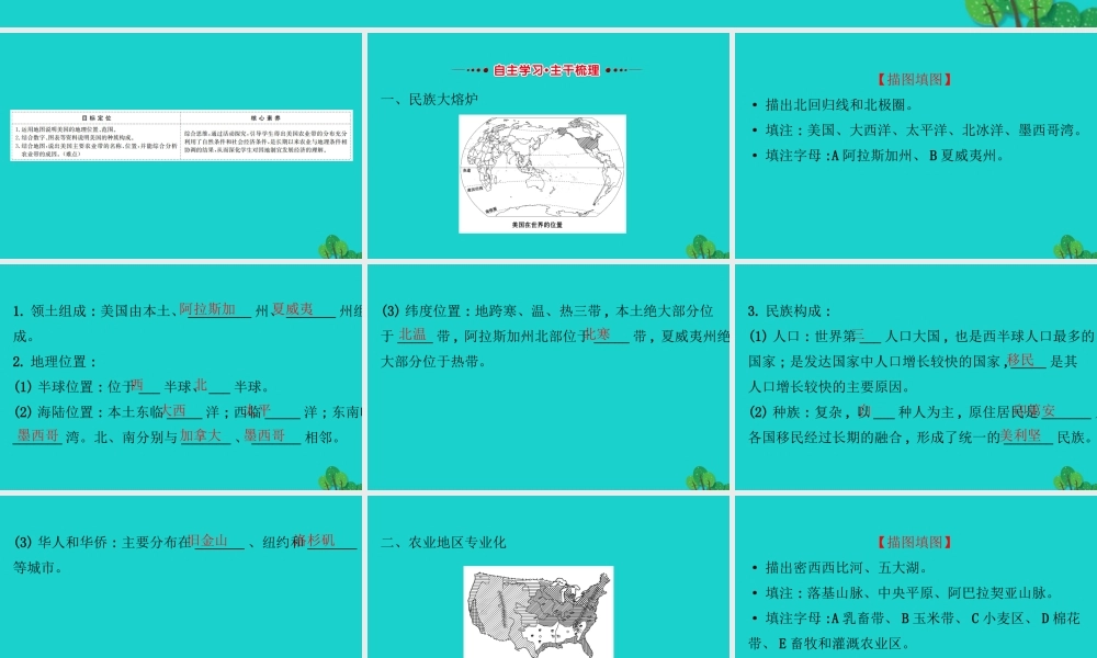 七年级地理下册 第九章 第一节 美国(一民族大熔炉 农业地区专业化)习题课件(新版)新人教版 课件