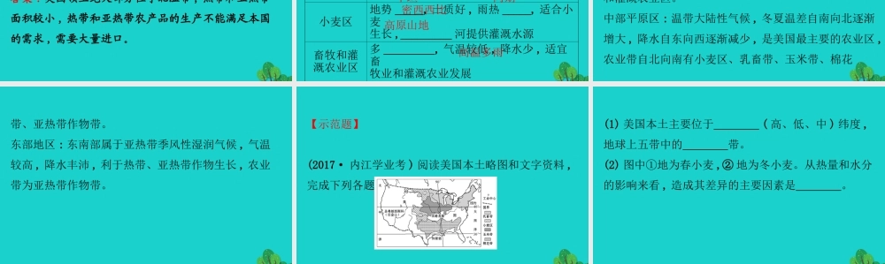 七年级地理下册 第九章 第一节 美国(一民族大熔炉 农业地区专业化)习题课件(新版)新人教版 课件
