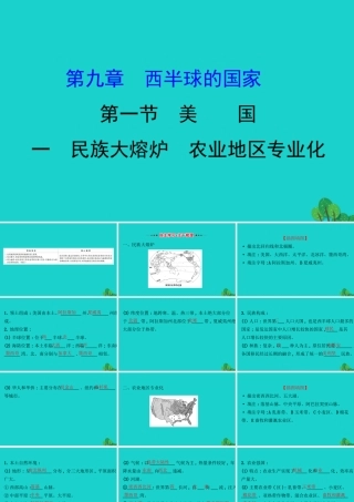 七年级地理下册 第九章 第一节 美国(一民族大熔炉 农业地区专业化)习题课件(新版)新人教版 课件