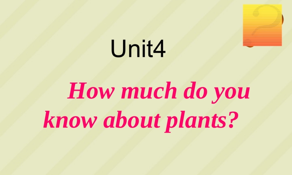 Unit4高三英语选修9教学课件 新课标 人教版 课件